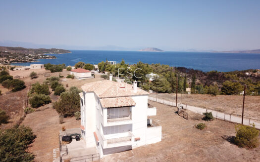 TWO MAISONETTES OF 318,08 SQM